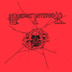 ENEMIC INTERIOR "Col-leccio" LP