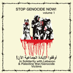 V/A "Stop Genocide Now ! Vol.1" LP
