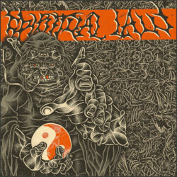 SPIRITUAL LAW "s/t" LP