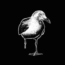 STIFF RICHARDS "s/t" LP