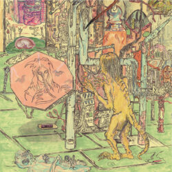 WICCANS "Phase IV" LP