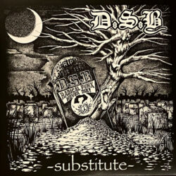 D.S.B. "Substitute" LP