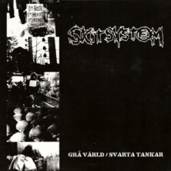 SKITSYSTEM "Gra Värld / Svarta Tankar" LP