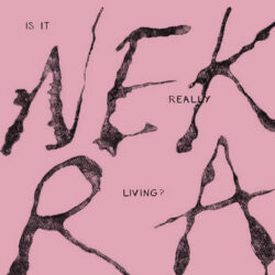 NEKRA "Is it really living ?" EP