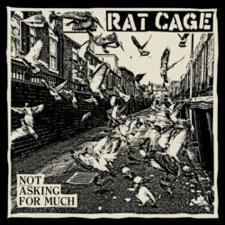 RAT CAGE "Not asking for much" LP