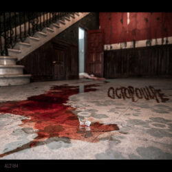 OCTOPOULPE "Alt-164" Colored Vinyl LP