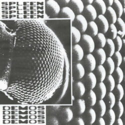 SPLEEN "Demos" LP
